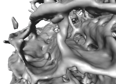 Isosurface Focus