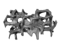 bone