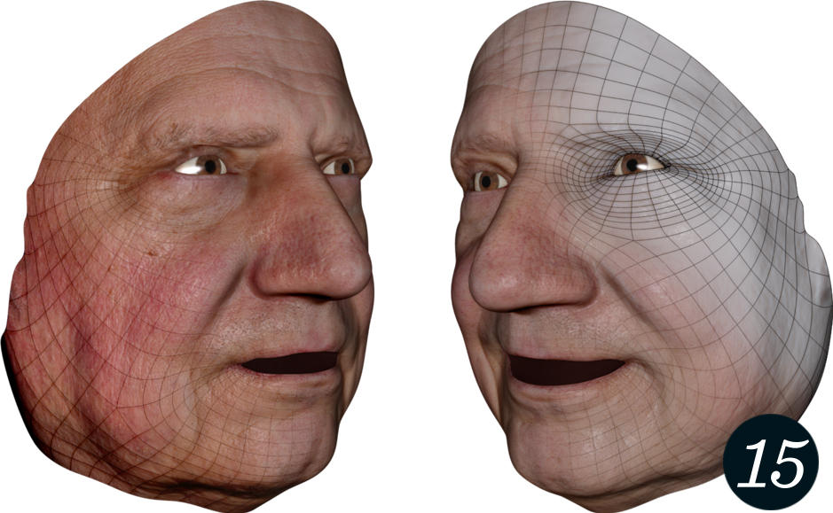 In the Camera Facialis, 3-D face scans in dense correspondence to an animatable surface mesh are acquired.