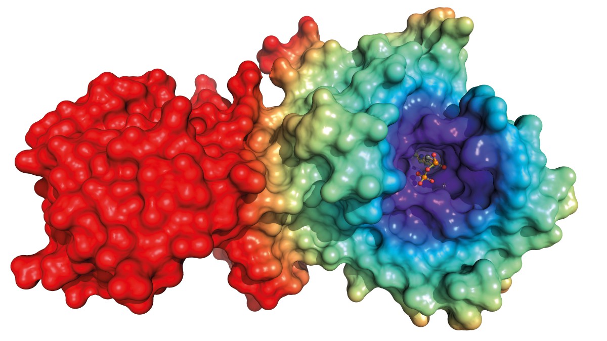 Often many simulations are performed with very similar molecular systems. Sometimes only one side group of a binding molecule varies, in this case in the violet region.