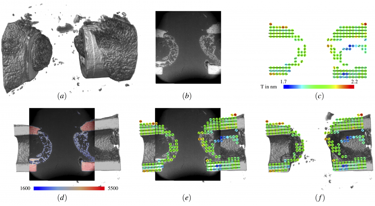 : Integration of information from small-angle X-ray scatterin