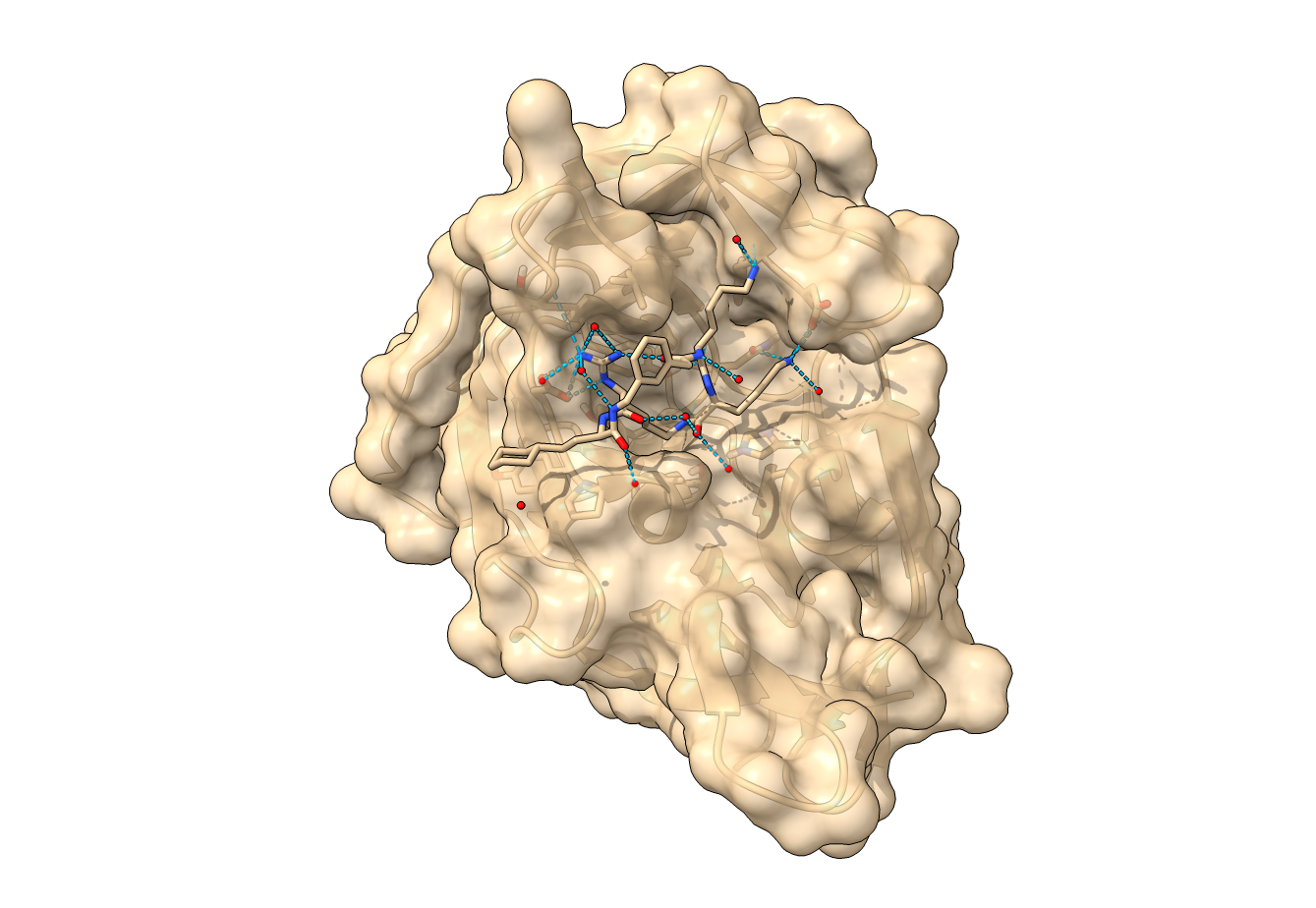 Flavivirus Protease (PDB 7pgc)
