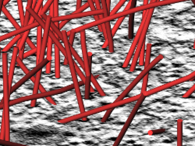 Segmentation of Microtubules from Electron Tomograms