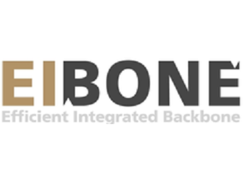 Efficient Integrated Backbone