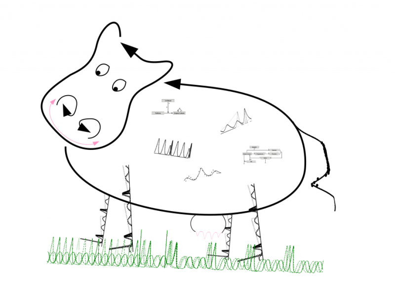 BovSys - Mathematical Modelling of Bovine Fertility and Metabolism