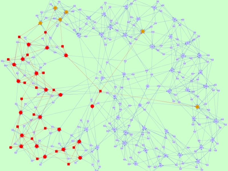 Randomized methods in network optimization