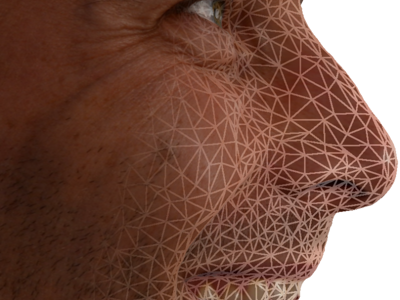 Digital Facial Morphology