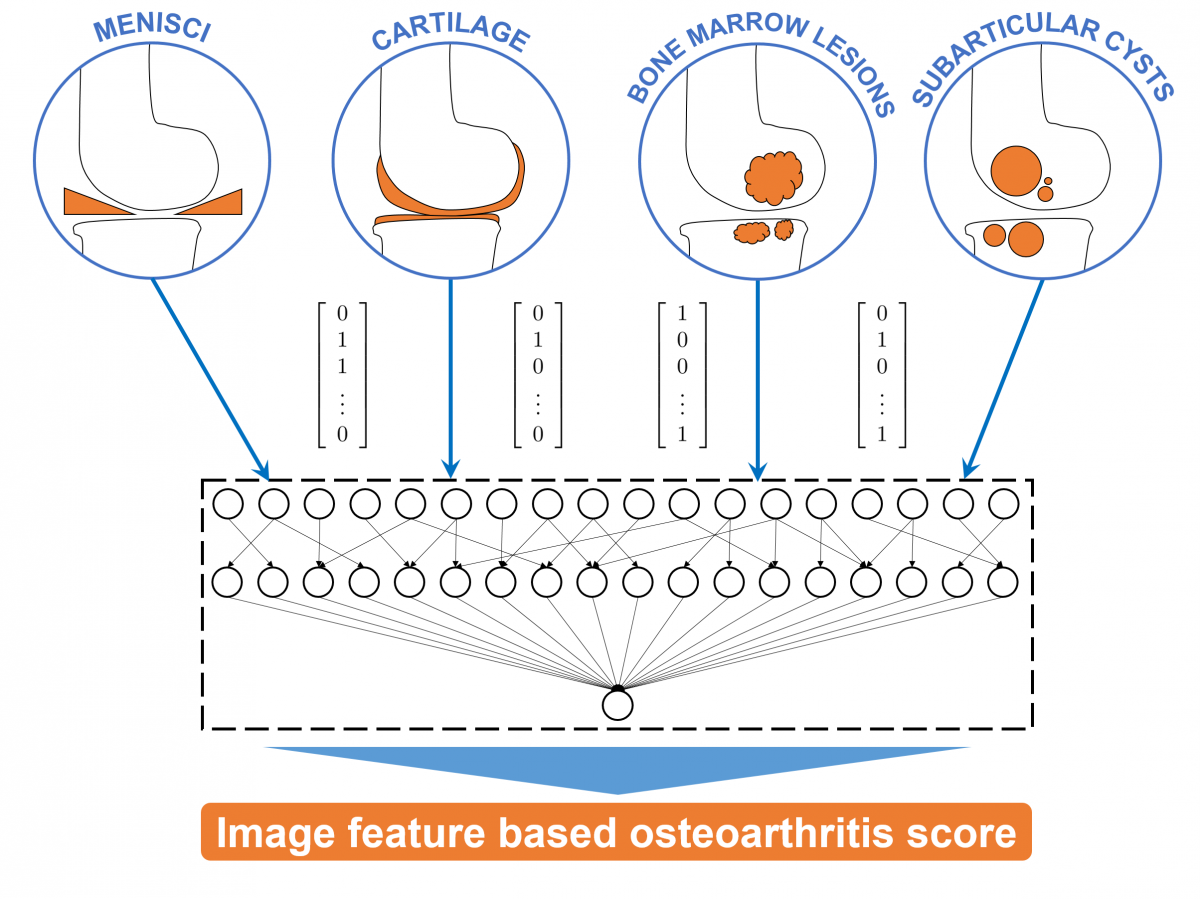 Combining image feature based measurements to an OA score