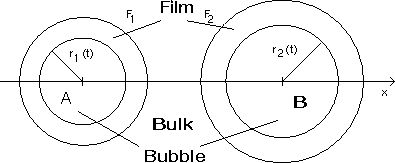 Bubble-model