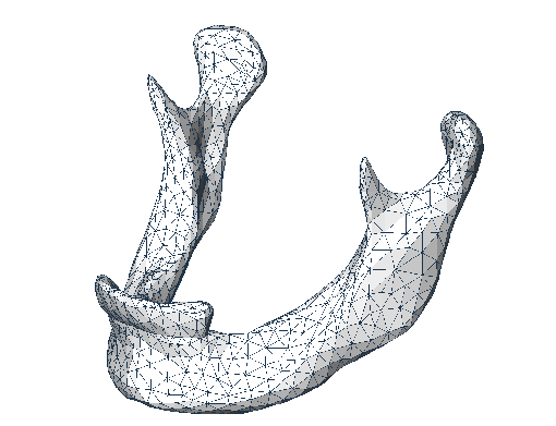 mandible3