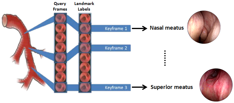 Real-time query frame is mapped to the corresponding label in