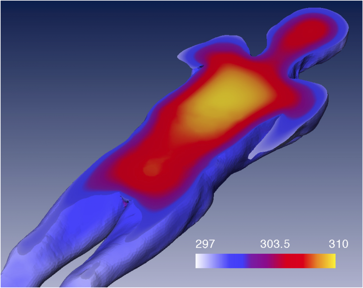 A cross section of a temperature field within a cooling corpse