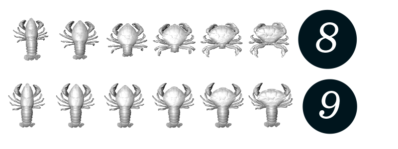 Global morphing from a lobster 