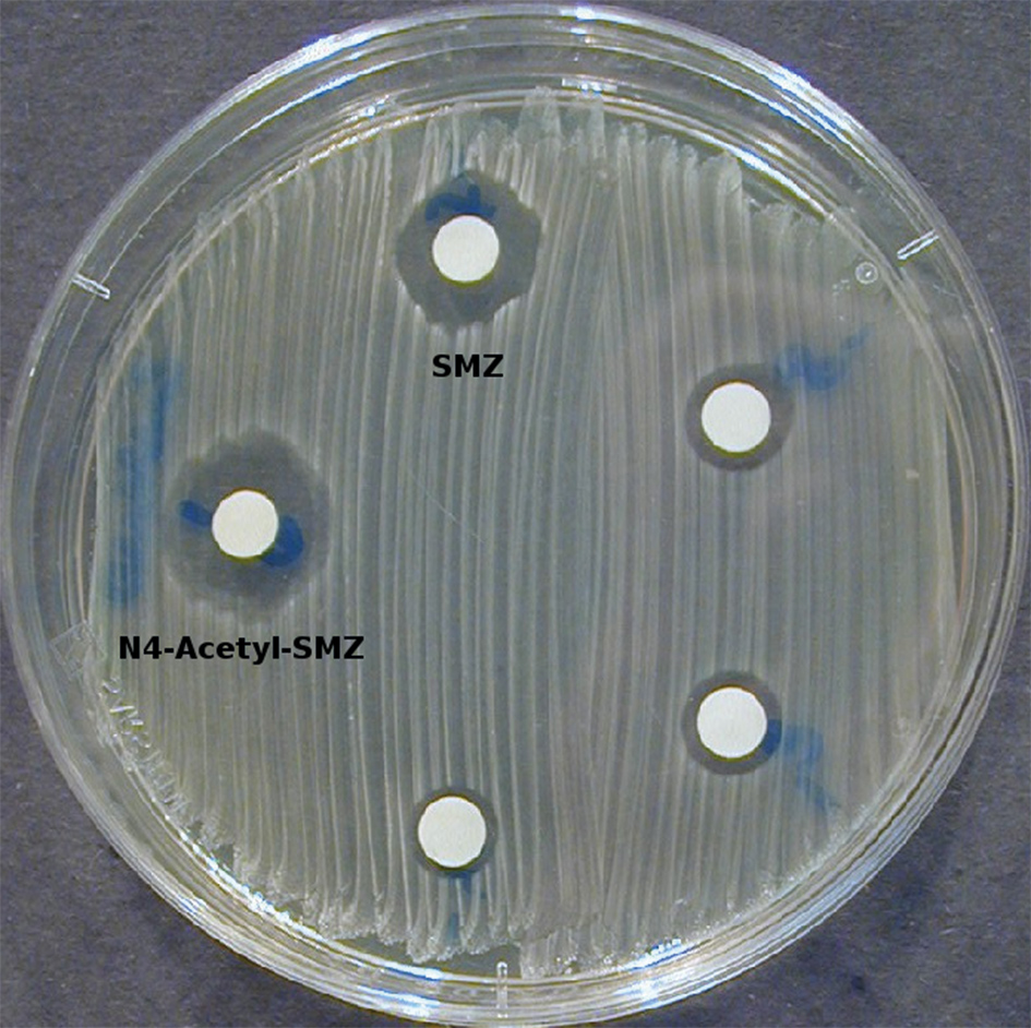 A simple test in laboratory shows that a transformation product of SMZ has an antibiotic effect. This transformation product can be found in the water cycle and is less degradable compared to SMZ.