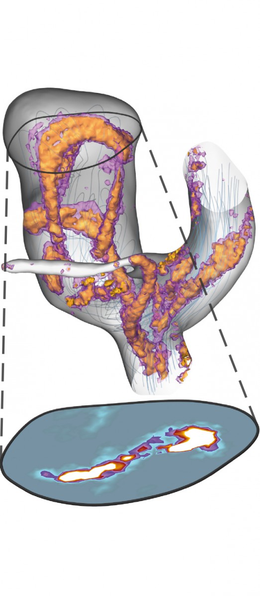 Probability density of vortex cores in an aneurysm.