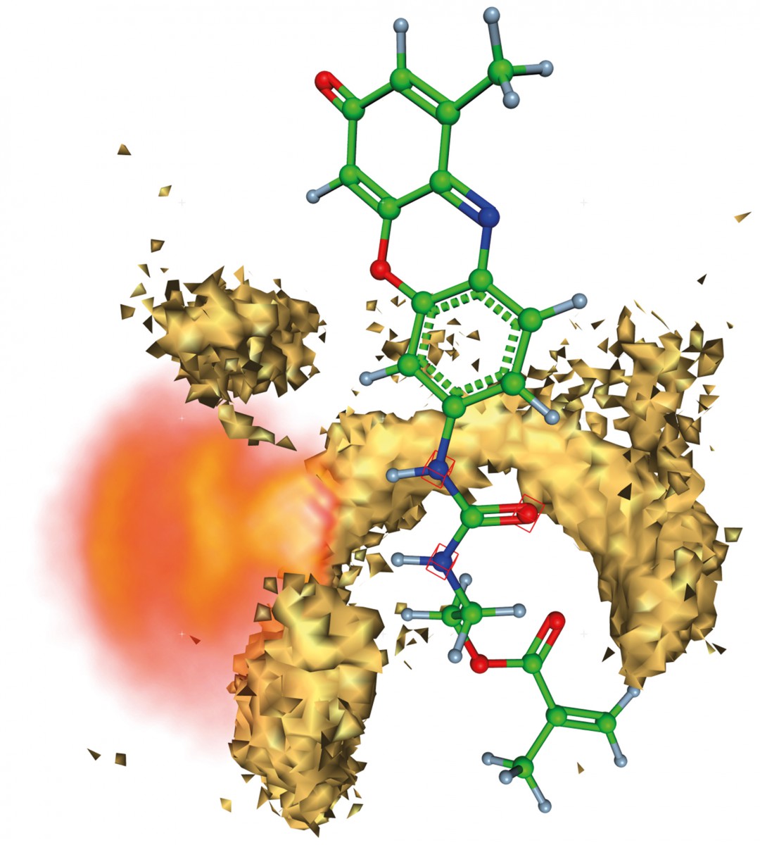 The molecular structure visible in ball-and –stick representation is the template- detecting part inside a MIP. Isosurfaces show the most probable position of polymer atoms which form a specific binding cavity for the template molecule. The flexibility of the template molecules is indicated with a »cloud«.