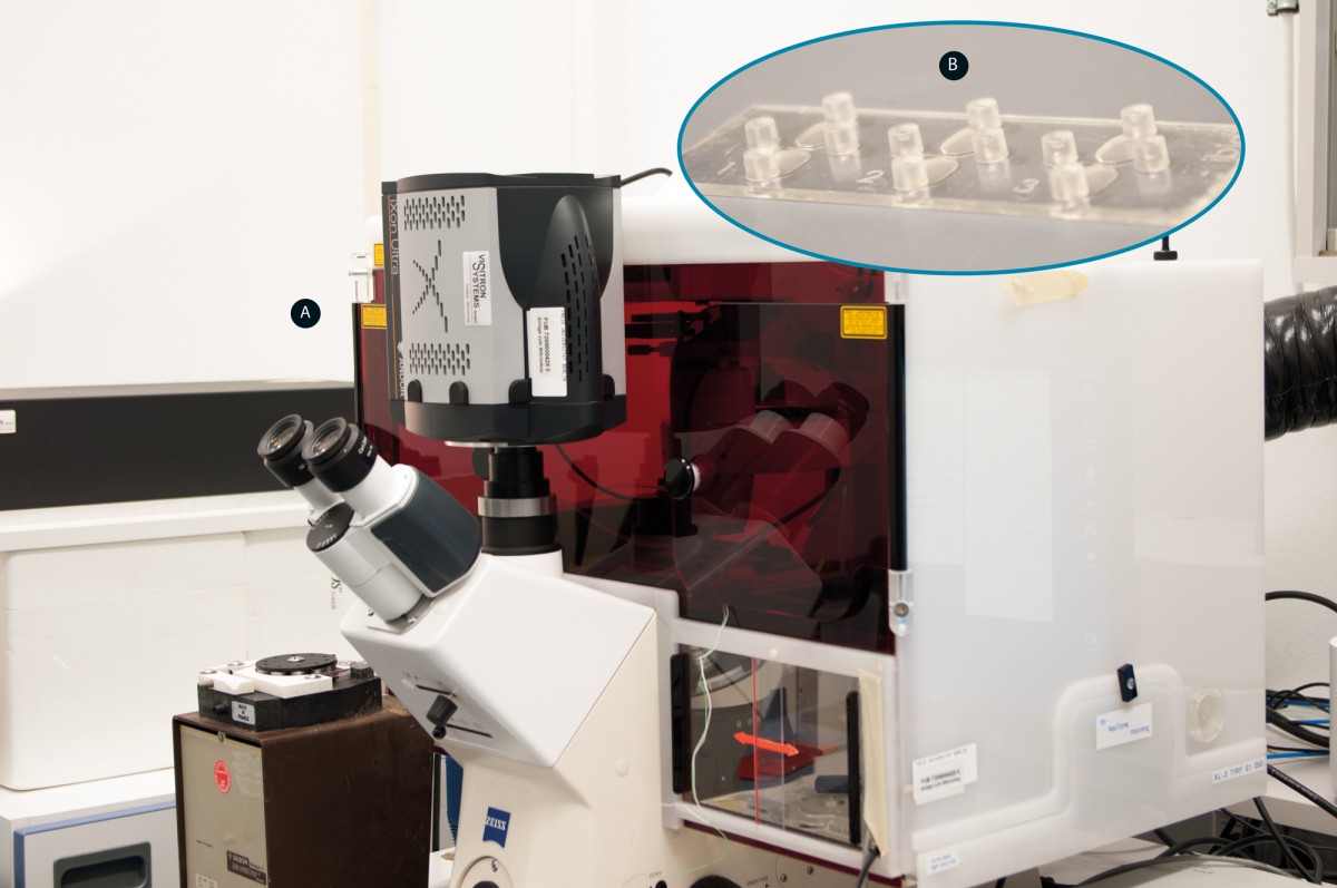 Cells are most likely to migrate towards their closest chamber when no growth factor is present . But in the presence of VEGF in the lower chamber, most cells tend to migrate towards the VEGF . Our analysis allows us to detect and quantify such effects.