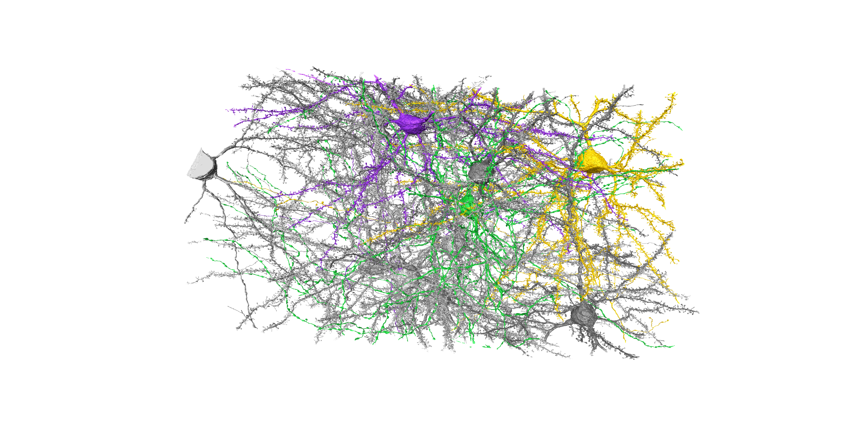 Harth_VIS_highlighted_sparse