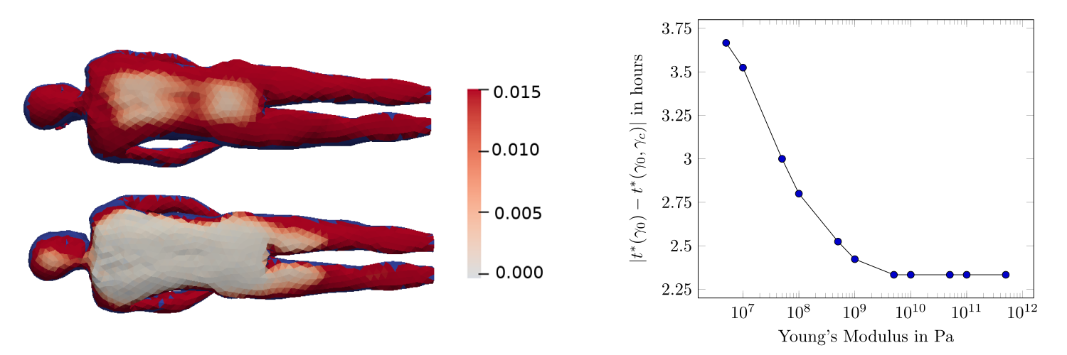 Value of gap function g shows contact surface and hard vs. soft underground (left), difference of time of death considering materials of different hardness by Young‘s modulus (right)