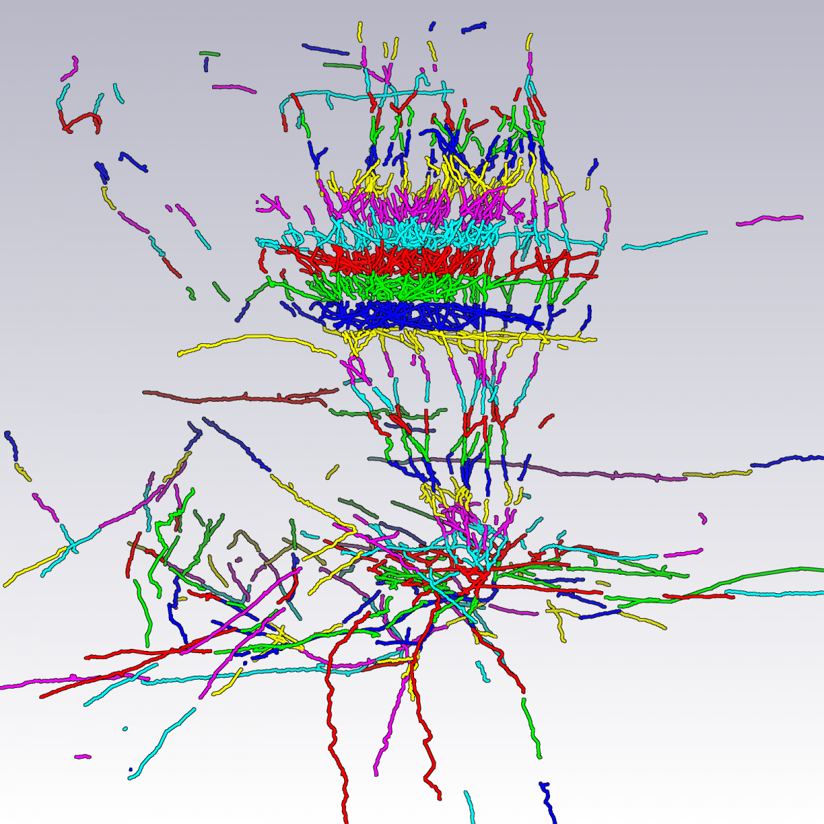 (d) After section alignment.