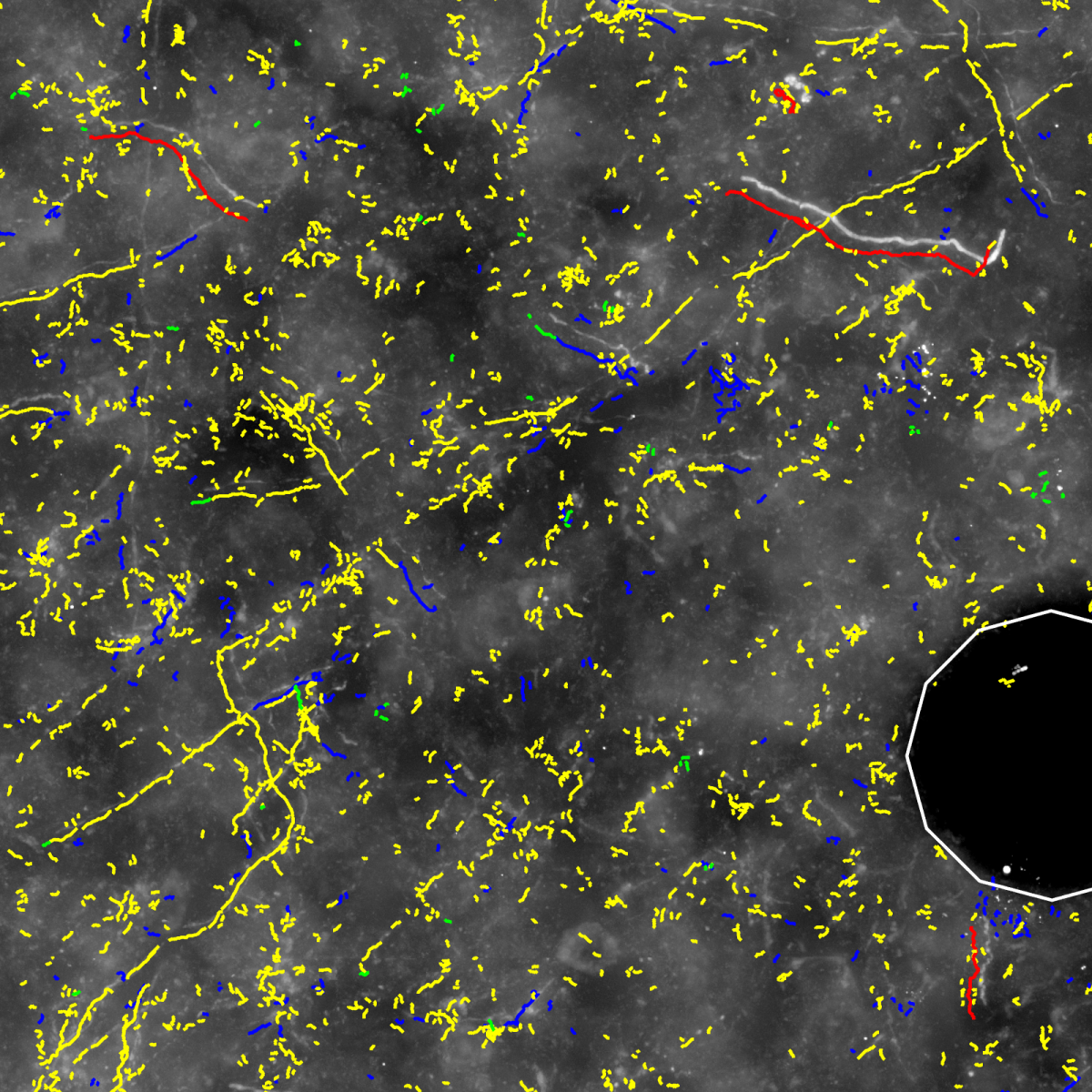 (b) Automatically computed segmentation.