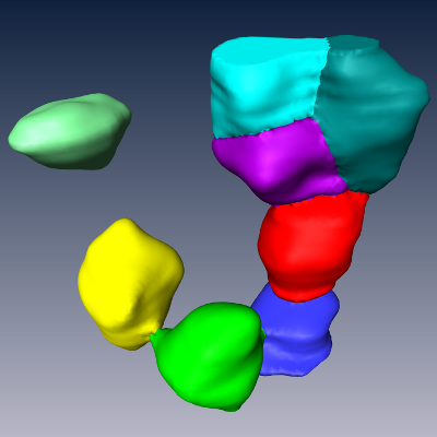 (d) In the third, final step any remaining touching objects are split based on a statistical approach that uses the volume distribution of all cell bodies found thus far to determine the most likely number of constituting cell bodies for each cluster.