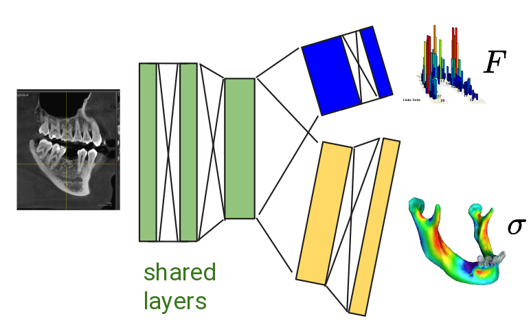 A deep learning network branches off towards two different target loss functions - one looking at measurements, one at simulated data