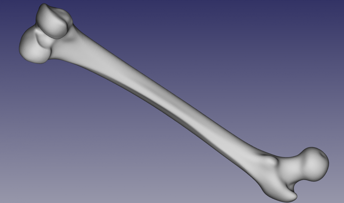 Triangulation of the Femur point cloud.