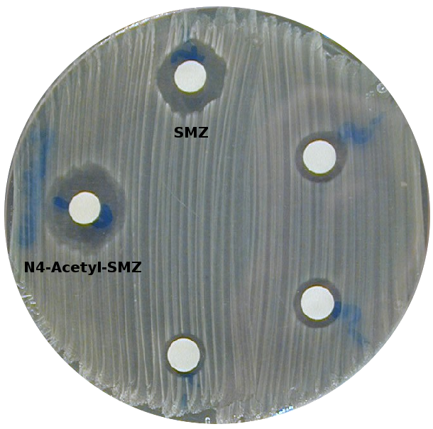 transrisk agar diffusion s. aureus SMZ