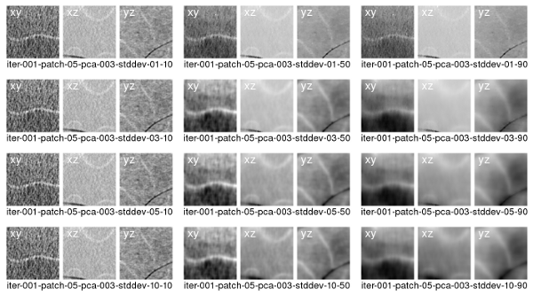 Fig. 4) Results from denosing a small subvolume from the Ammonite dataset using NLM. For each result, different values of spatial and range standard deviation were chosen. For each result, three slices oriented in different directions are shown.