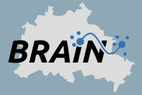 Brain