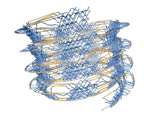 Network Optimization