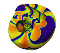 Illustrative image: cardiac simulation