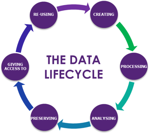 Media Name: Data Lifecycle.png