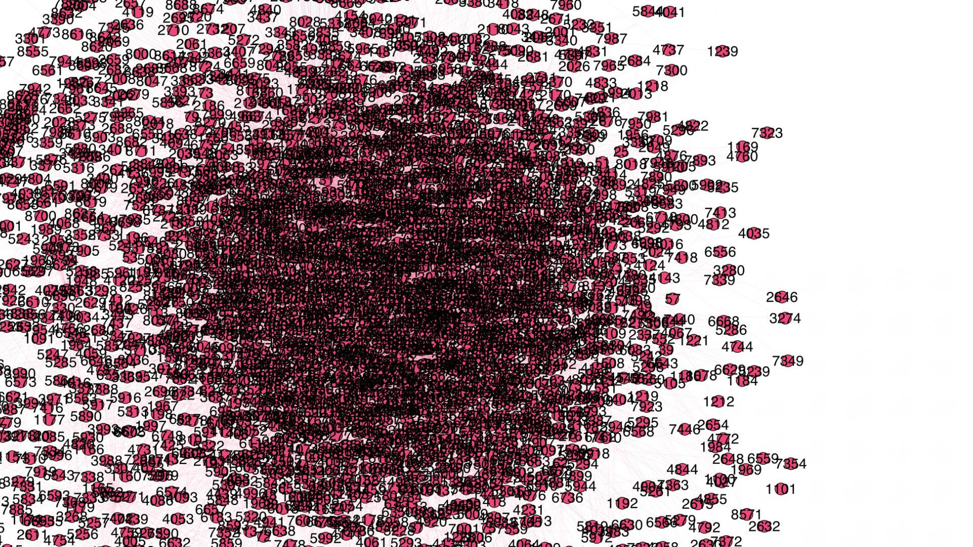 Similarity search and insect classification