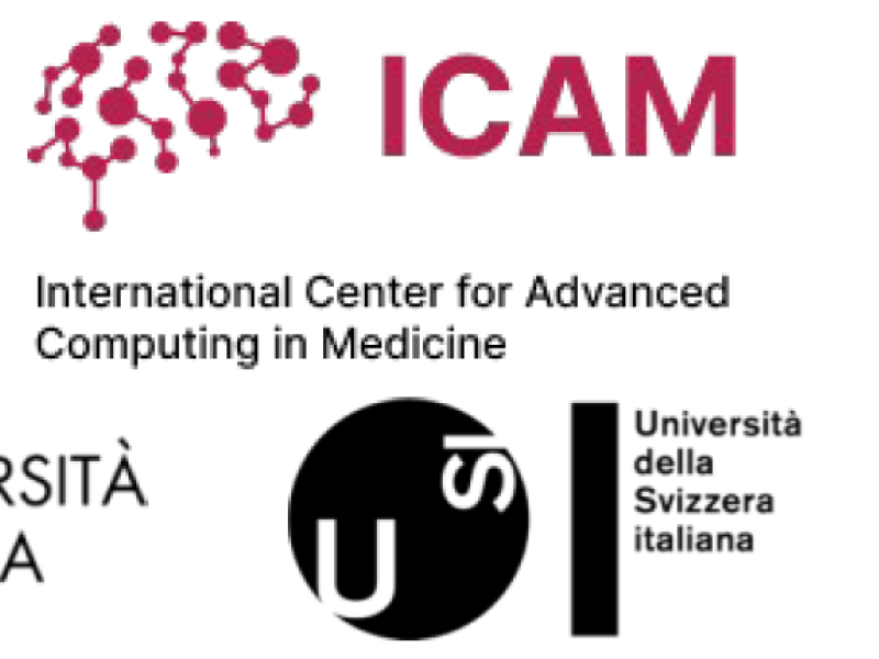 Das ZIB kooperiert mit UniPv und USI im ICAM