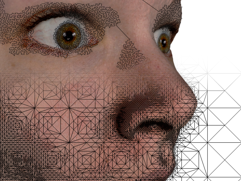 Kann Mathematik Gesichter malen?