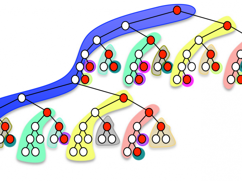 Parascip tree