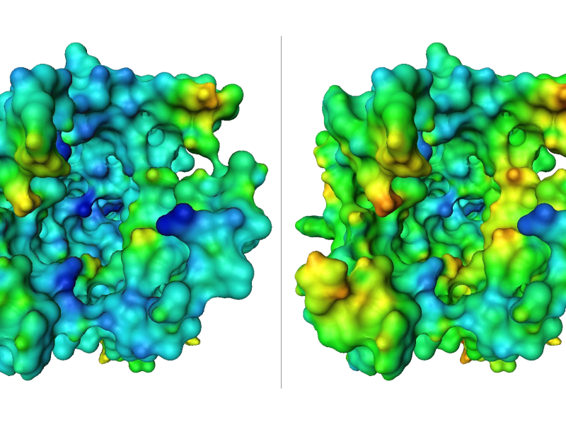 Media Name: electrostatics_amira_right_protonated1.png