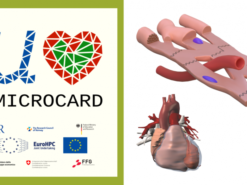 Kick-off of the European project MICROCARD: how modeling allows to better  characterize cardiac arrhythmias
