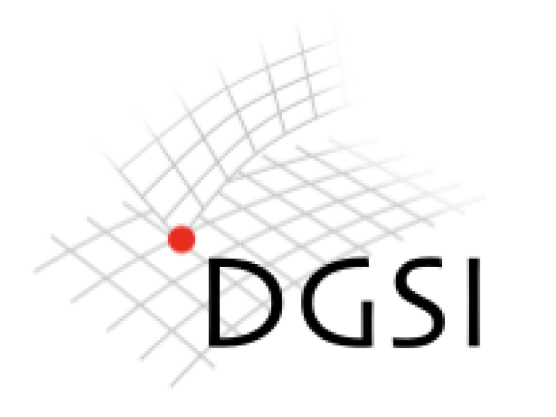 Media Name: 2009-dgsi-logo-205x205.png