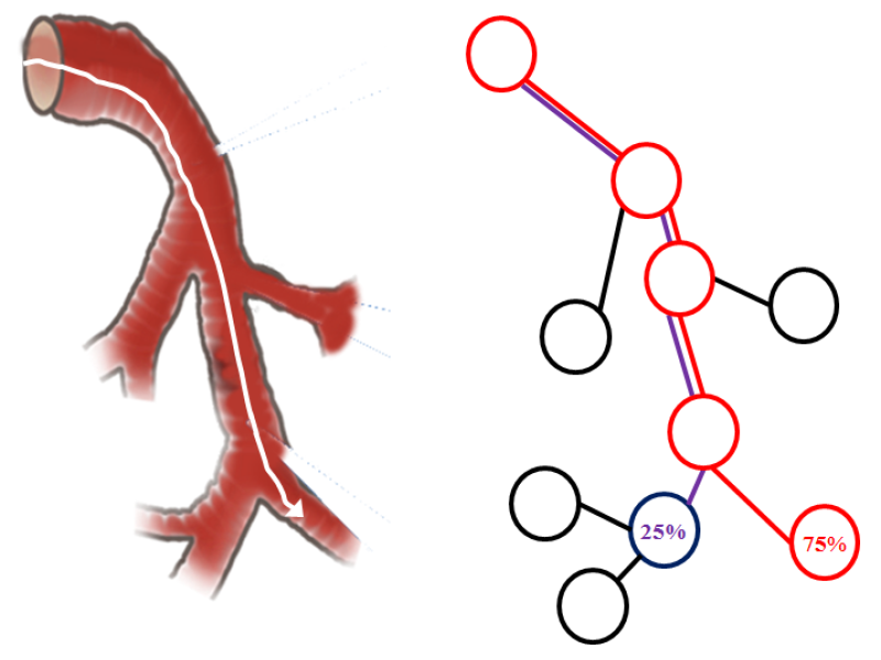 Graph theoretical approaches to image based position tracking