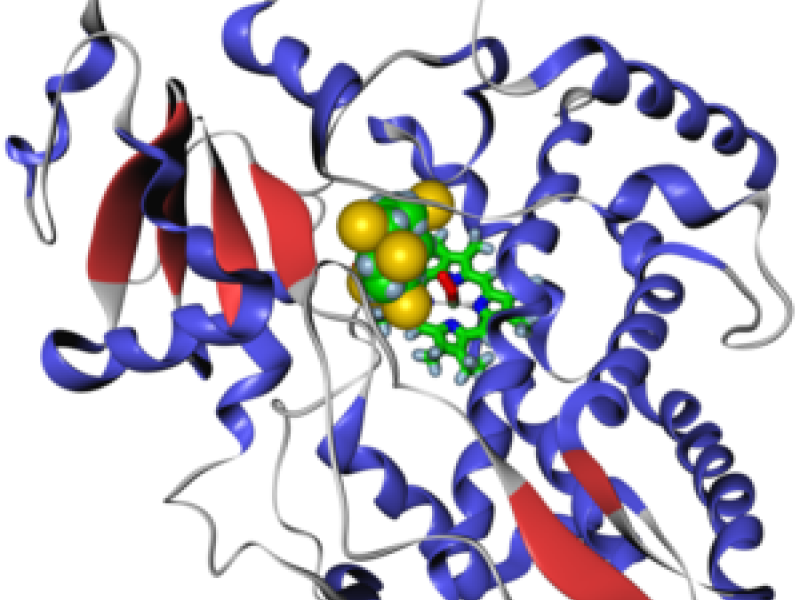 Predicting Sites of Cytochrome P450-Mediated Hydroxylation