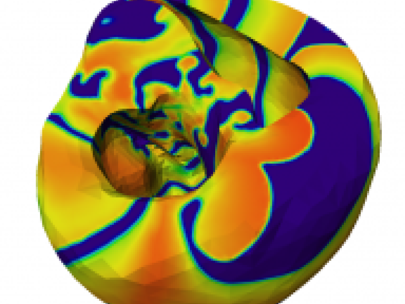 Adaptive Cardiac Simulation