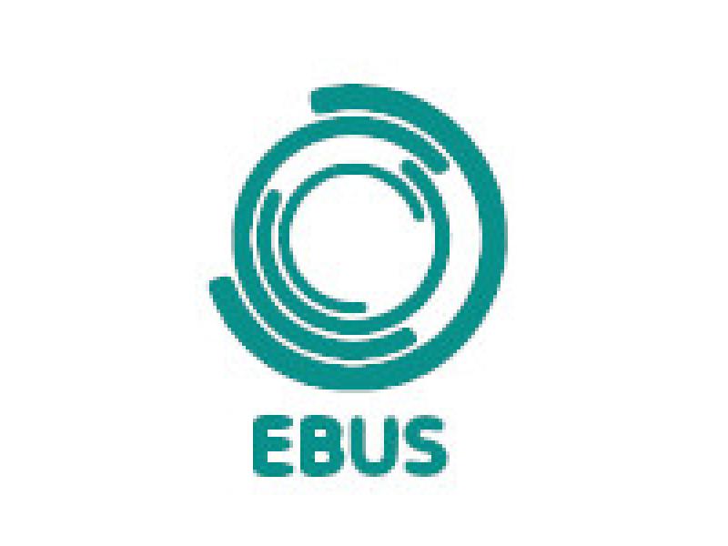 Media Name: EBUS.jpg