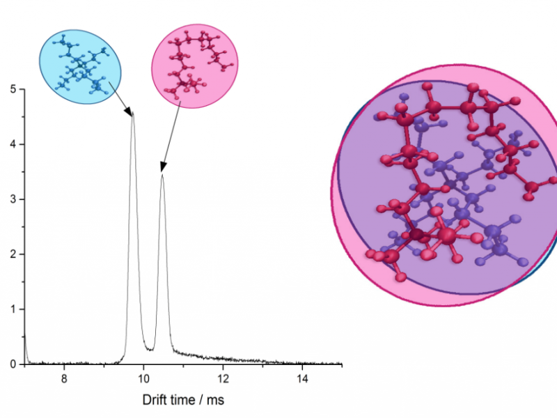 Conformational analysis of ions in the gas phase