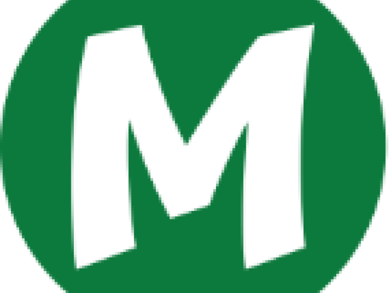 Media Name: Logo_MOIN.png