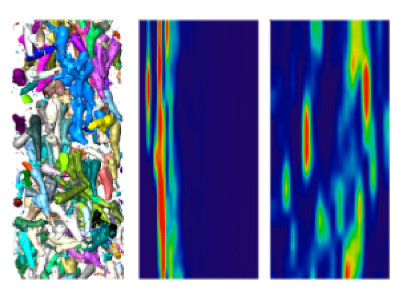 CT-Image Analysis of Cold-Water Corals within Gravity Cores