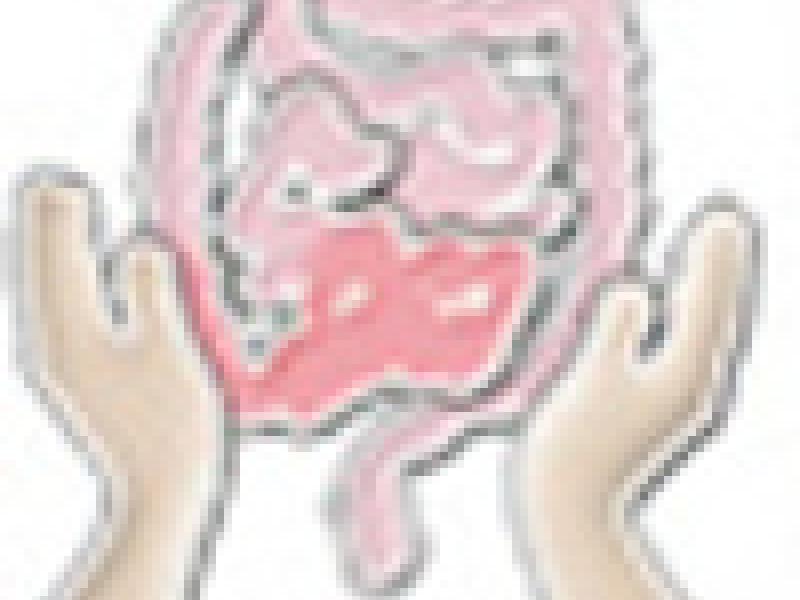 Virtual Gastrointestinal Tract