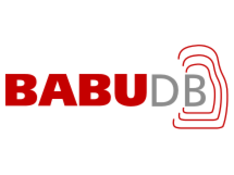 BabuDB